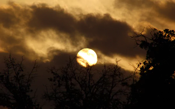 A breathtaking sunrise illuminates the sky, casting a warm glow through scattered clouds and silhouetting the surrounding trees. An inspiring nature scene for any desktop background.