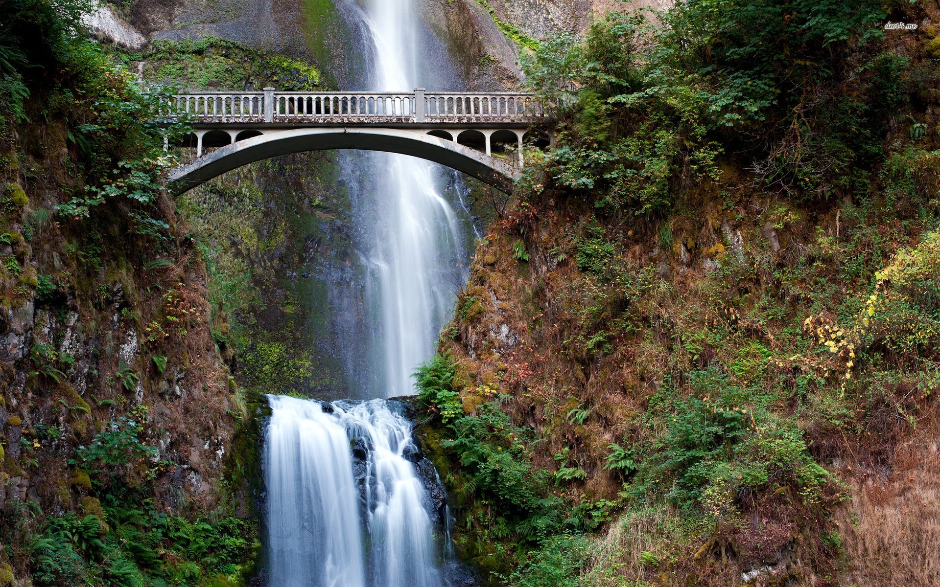 Oregon Wallpapers  Wallpaper Cave