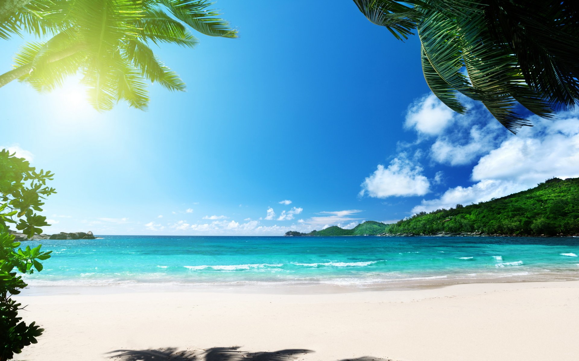 HD PC desktop wallpaper showcasing a serene beach scene with clear blue skies, turquoise water, white sand, and lush green palm trees framing the view.