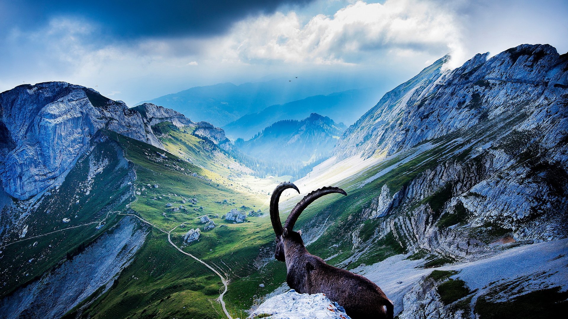 HD PC desktop wallpaper featuring a majestic goat overlooking a lush green valley surrounded by towering mountains under a dramatic cloudy sky.