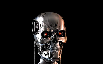 A close-up of a metallic robot skull with glowing red eyes, inspired by the movie The Terminator, serves as a striking HD PC desktop wallpaper and background.