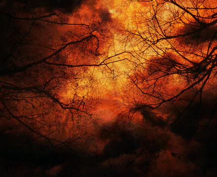 A dark Gothic HD desktop wallpaper featuring intertwining tree branches against an intense orange and black background, creating an atmospheric and dramatic visual.