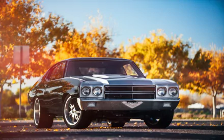 vehicle Chevrolet Chevelle HD Desktop Wallpaper | Background Image
