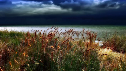 HD PC desktop wallpaper: nature scene of windswept coastal grasses beneath a dark stormy sky, waves breaking on a moody shoreline.