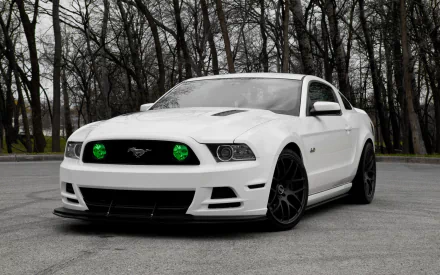 White Ford Mustang Shelby with glowing green headlights parked on a gray pavement, set against a backdrop of leafless trees in an HD PC desktop wallpaper.