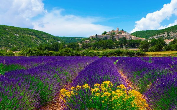Man Made Banon Towns France Earth Lavender Field Purple Provence HD Wallpaper | Background Image