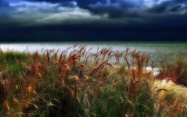 HD PC desktop wallpaper: nature scene of windswept coastal grasses beneath a dark stormy sky, waves breaking on a moody shoreline.