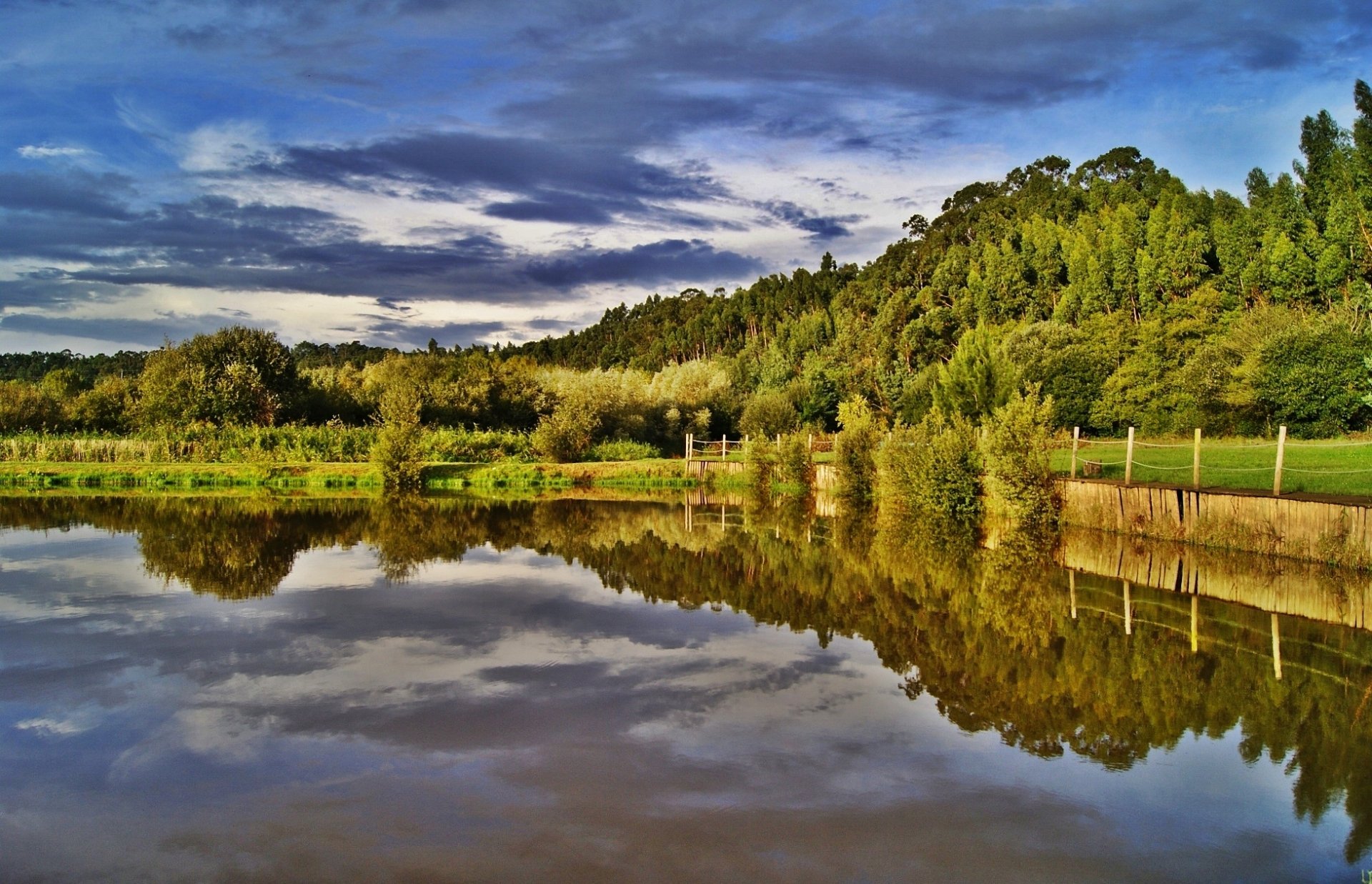 HD PC desktop wallpaper featuring a serene landscape of trees and sky reflected clearly in calm water, showcasing nature’s tranquility.