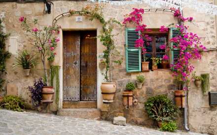 Charming HD wallpaper featuring a rustic door adorned with vibrant flowers and greenery, set against a textured stone wall for a warm, inviting atmosphere.