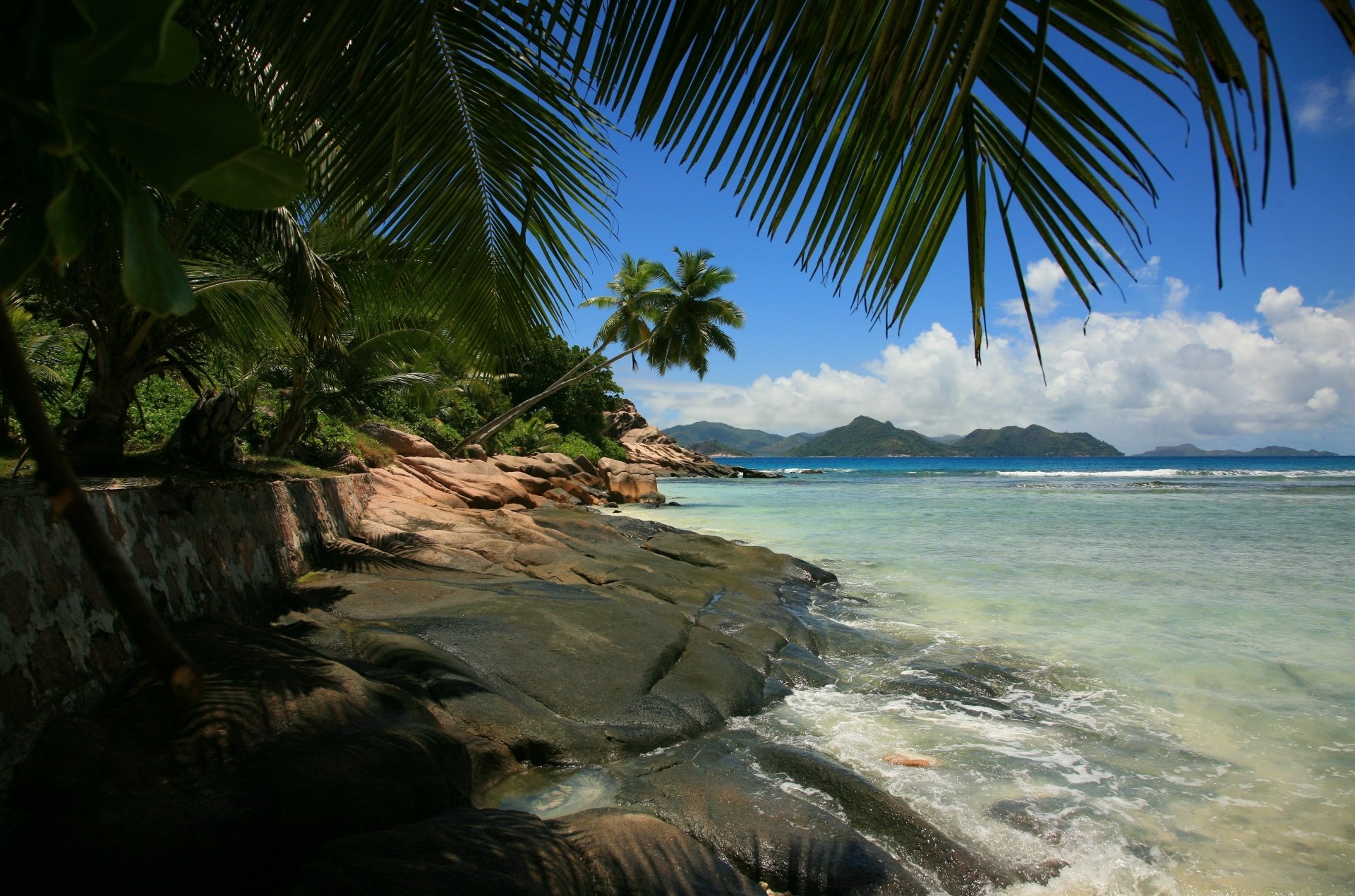 Download Tropics Sea Palm Tree Nature Seashore 4k Ultra HD Wallpaper ...