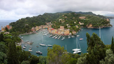 village water boat forest island house city Italy Liguria Genoa man made Portofino HD Desktop Wallpaper | Background Image