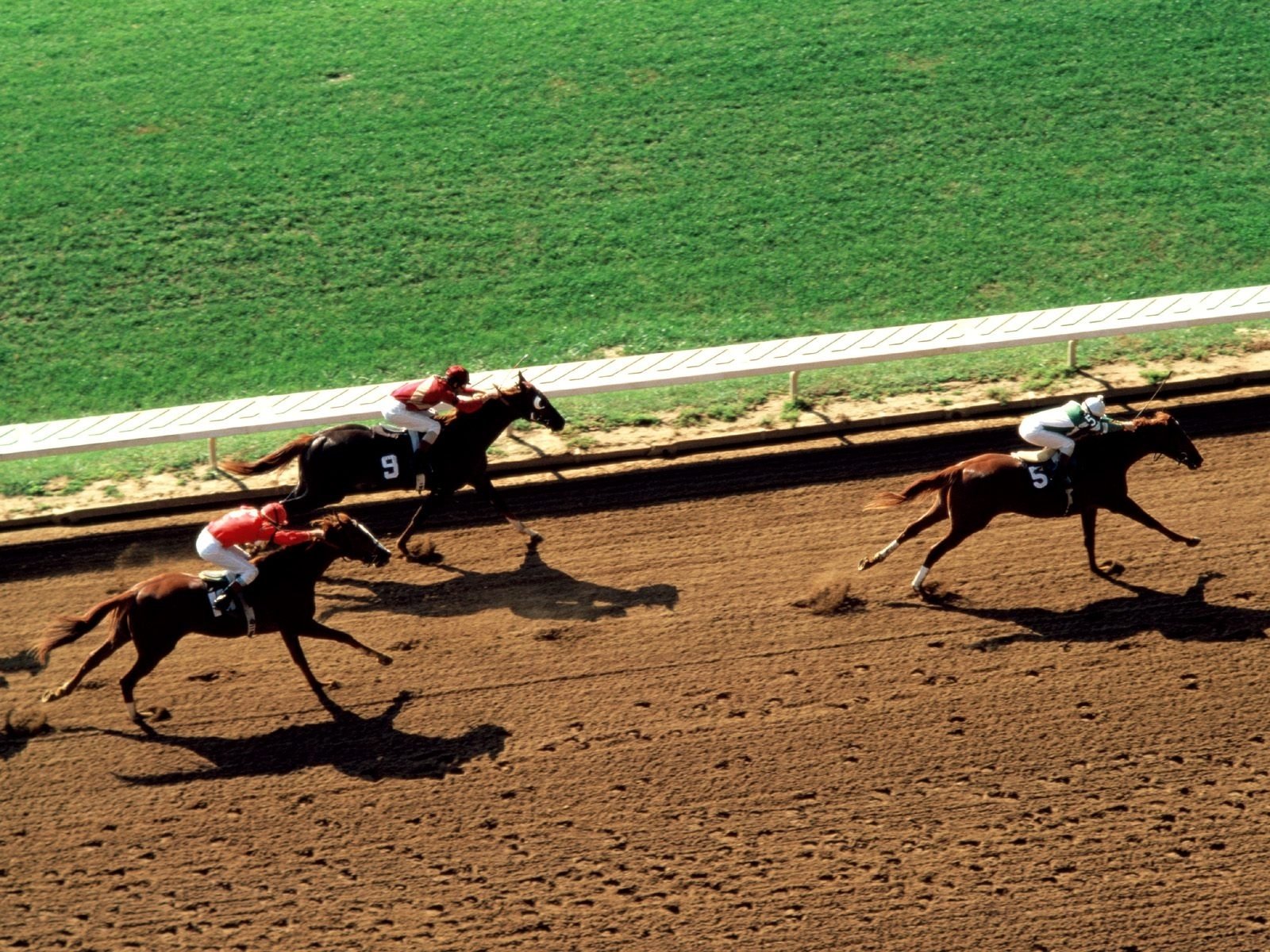 horse racing Wallpaper and Background Image 1600x1200 ID526603