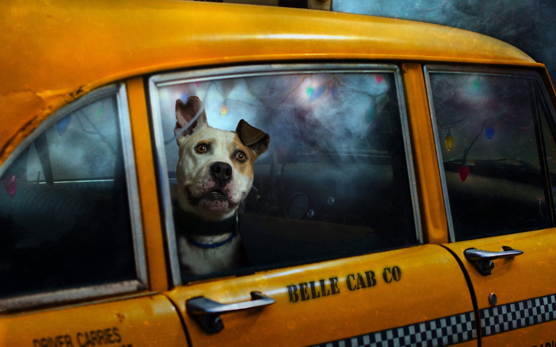 A dog peeks out from the window of a yellow taxi, set against a moody backdrop. This colorful image serves as an engaging HD desktop wallpaper.