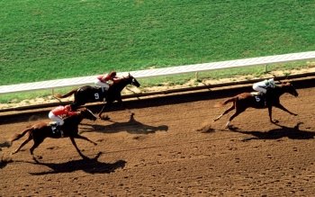 31 Horse Racing HD Wallpapers | Background Images - Wallpaper Abyss