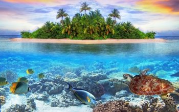 22 Underwater HD Wallpapers | Background Images - Wallpaper Abyss