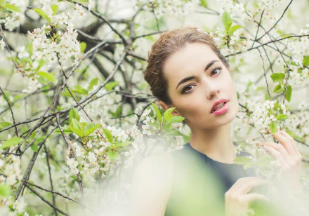 HD PC desktop wallpaper: close-up of a woman's face framed by white blossoms and green leaves, soft-focus background evoking a dreamy spring mood.