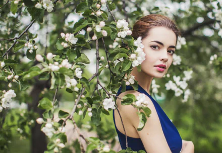 HD desktop wallpaper of a woman in a blue dress among blooming spring branches, highlighting her serene face and natural beauty, captured by Lidia Sergeeva.
