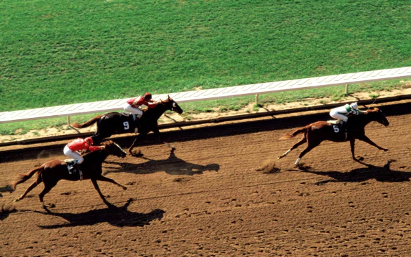 HD desktop wallpaper capturing a thrilling horse racing moment with three jockeys sprinting on a dirt track under bright daylight in a sports setting.