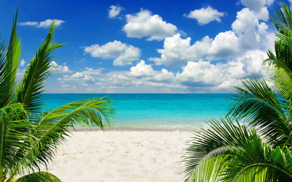 A vibrant tropical beach scene featuring lush palm leaves framing a crystal-clear sea under a bright blue sky with fluffy clouds, creating a serene nature backdrop.