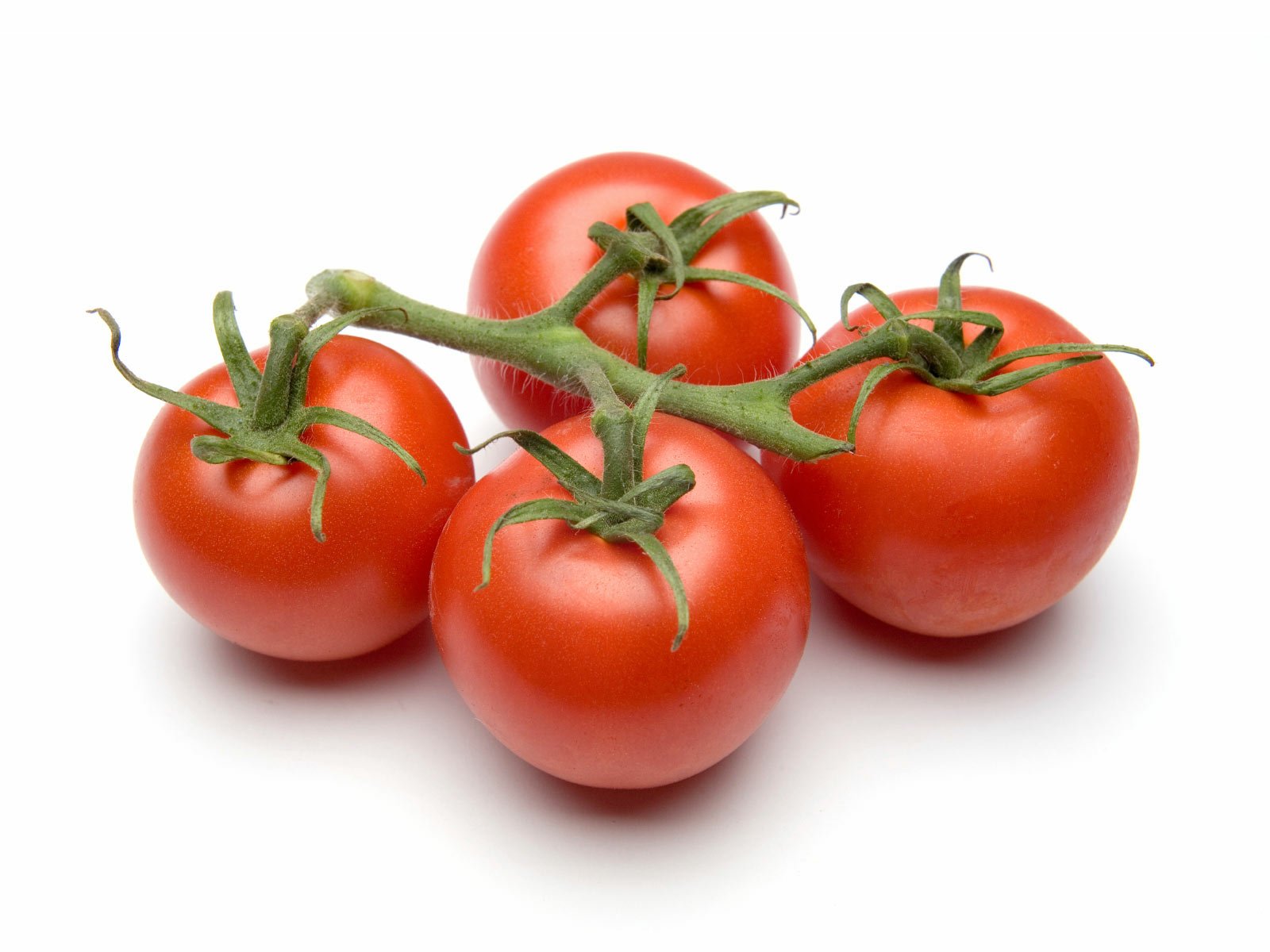 Food Tomato Wallpaper