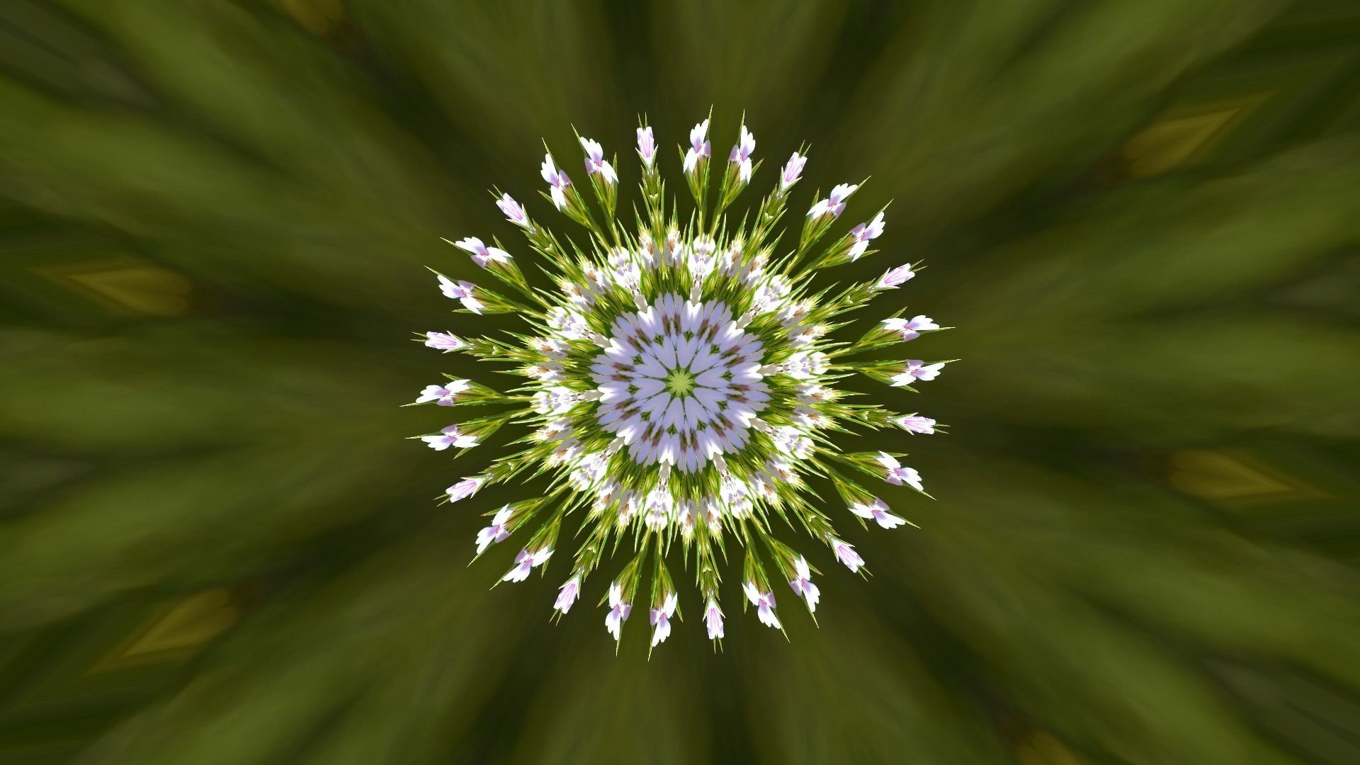 HD PC desktop wallpaper featuring a green artistic kaleidoscope design with a symmetrical flower pattern at the center.