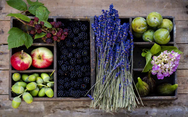 A vibrant arrangement of fresh fruits, including apples, blackberries, and plums, alongside sprigs of lavender and colorful flowers on a rustic wooden background. HD PC desktop wallpaper.