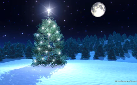 christmas tree holiday Christmas HD Desktop Wallpaper | Background Image