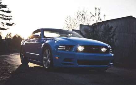 vehicle Ford Mustang GT500 HD Desktop Wallpaper | Background Image