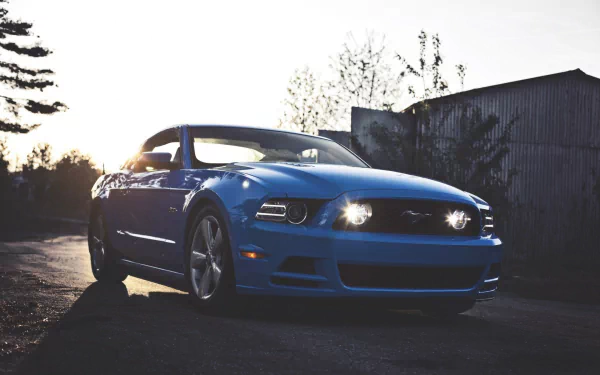 vehicle Ford Mustang GT500 HD Desktop Wallpaper | Background Image