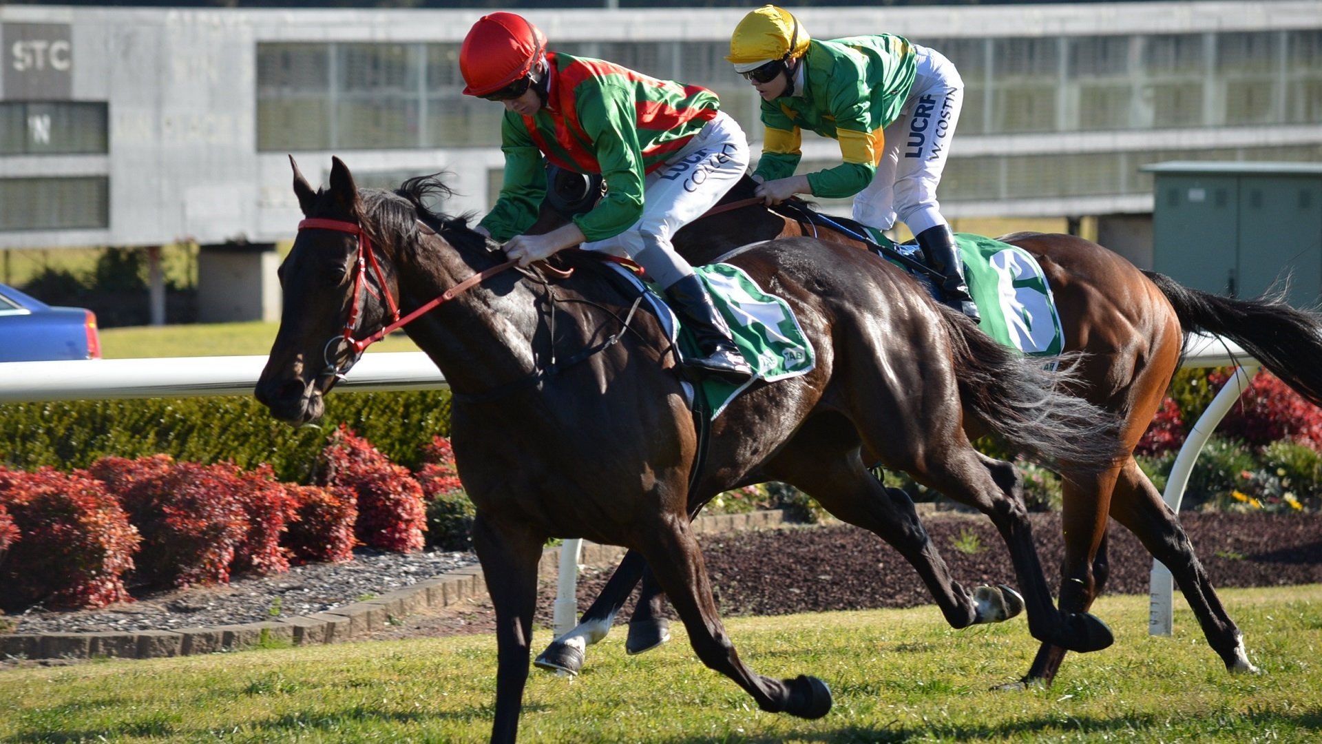 Two jockeys in vibrant silks race on their horses along a track, capturing the excitement of horse racing in a dynamic sports scene. A vivid HD desktop wallpaper.