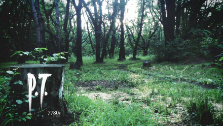 HD PC desktop wallpaper/background for video game P.T.: eerie sunlit forest clearing with dense trees, overgrown grass and a mossy concrete slab stamped P.T. and 7780s.