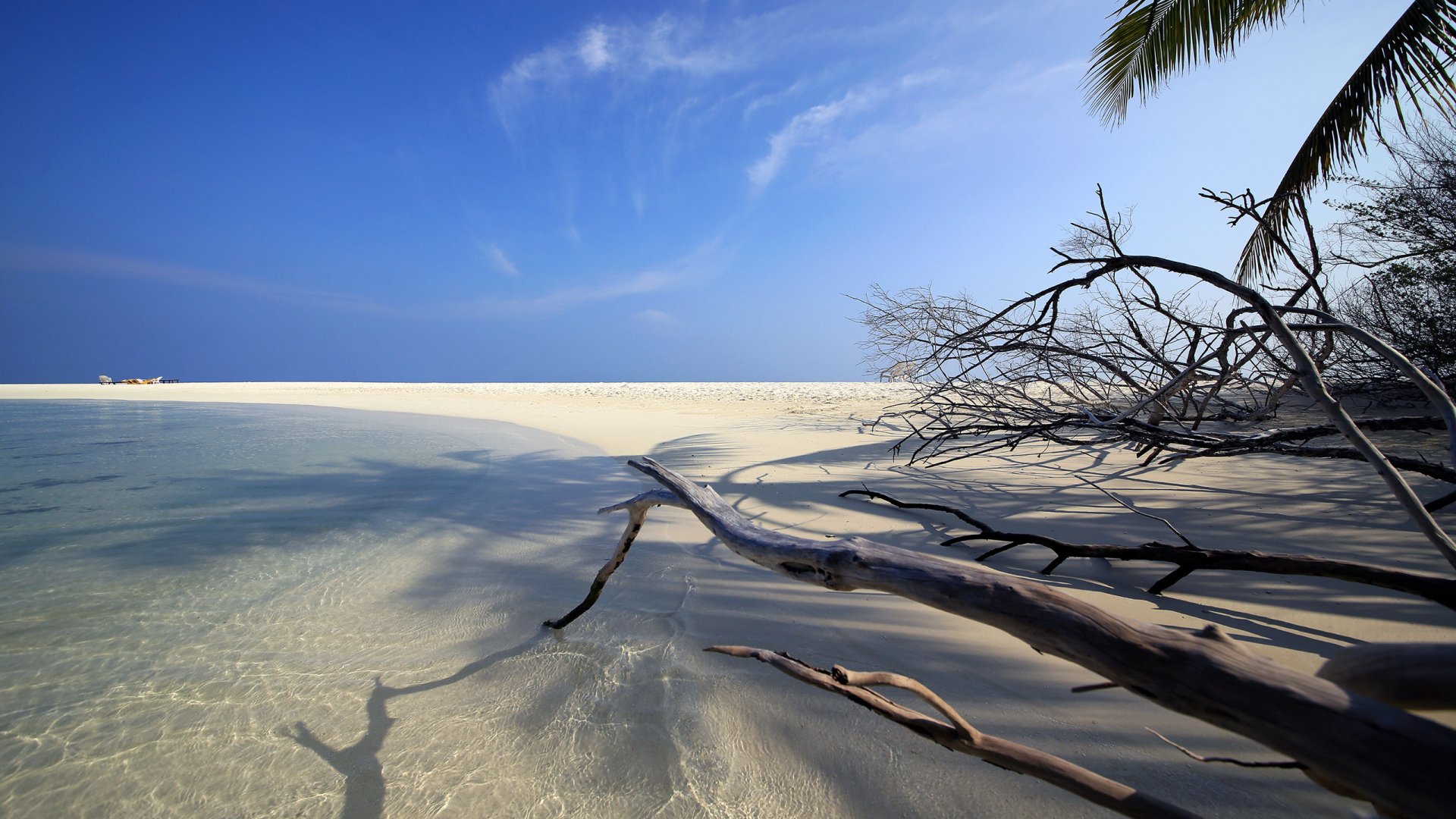 Download Nature Beach HD Wallpaper