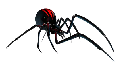 Animal Redback spider HD Desktop Wallpaper | Background Image