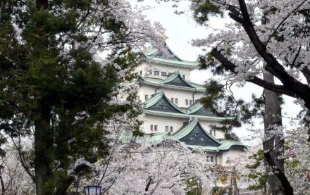  Osaka Castle in Spring