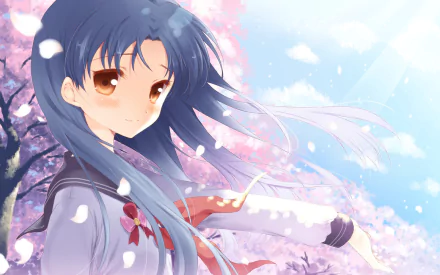 Anime The iDOLM@STER HD Desktop Wallpaper | Background Image