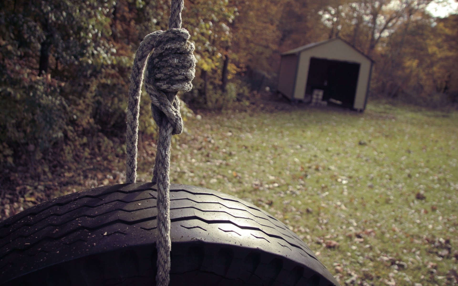 HD desktop wallpaper of a tire swing hanging from a tree with a backdrop of a serene autumn landscape.