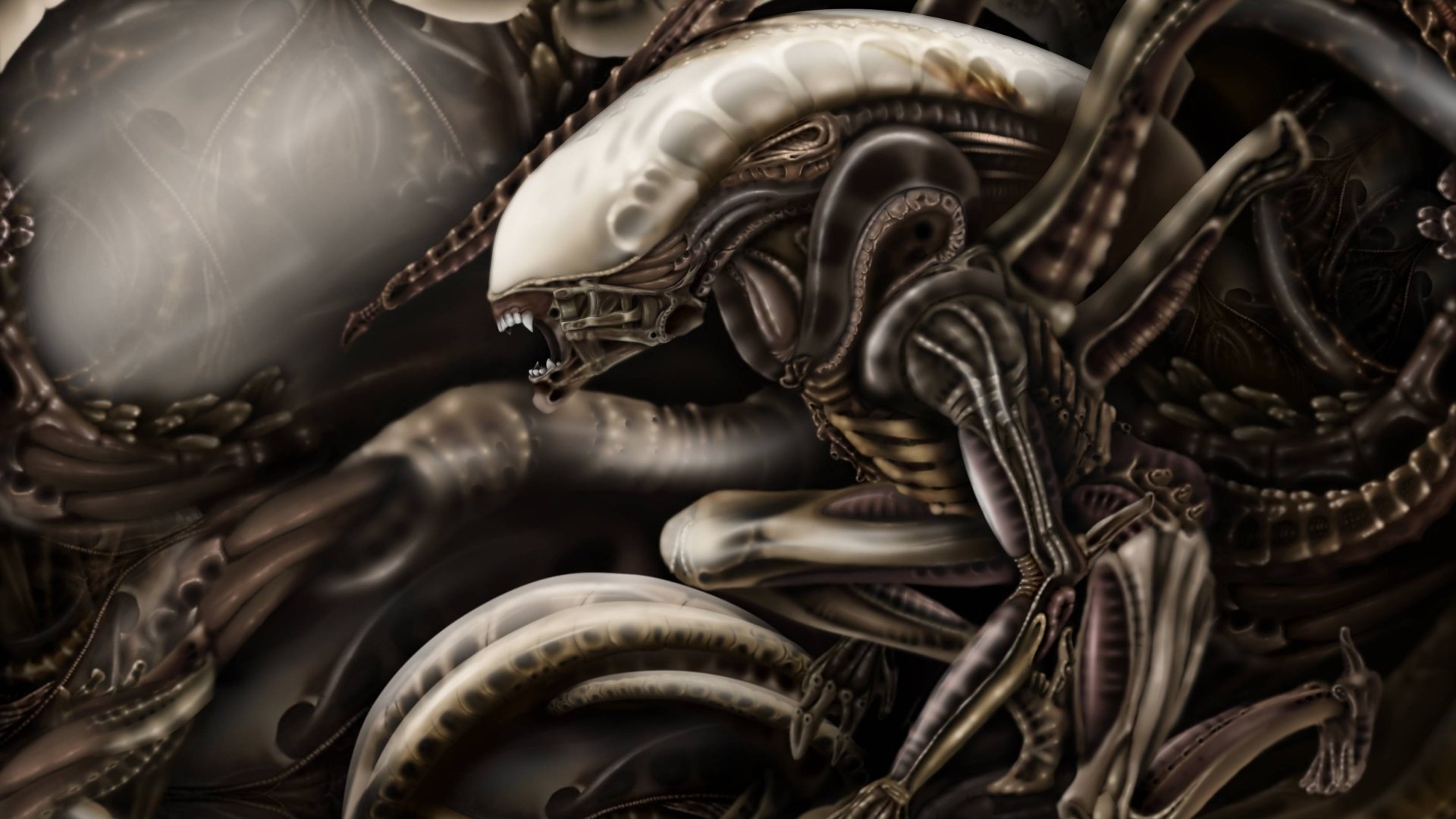 HD sci-fi desktop wallpaper featuring a detailed alien creature with biomechanical textures in a dark, atmospheric setting.