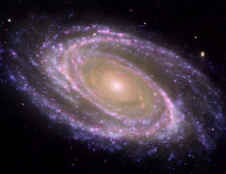  Bode's Galaxy
