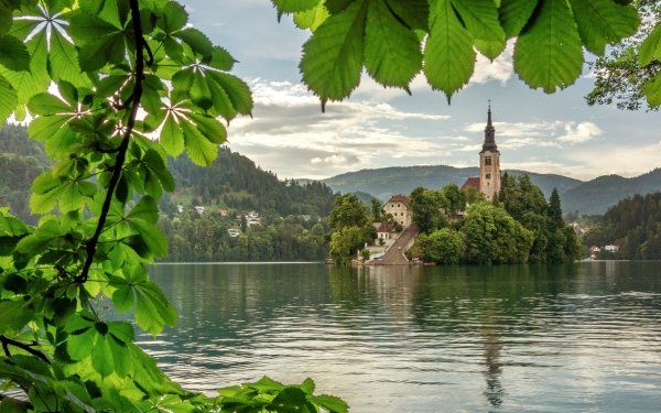 Religious Assumption of Mary Church Churches Slovenia Church Lake Bled HD Wallpaper | Background Image