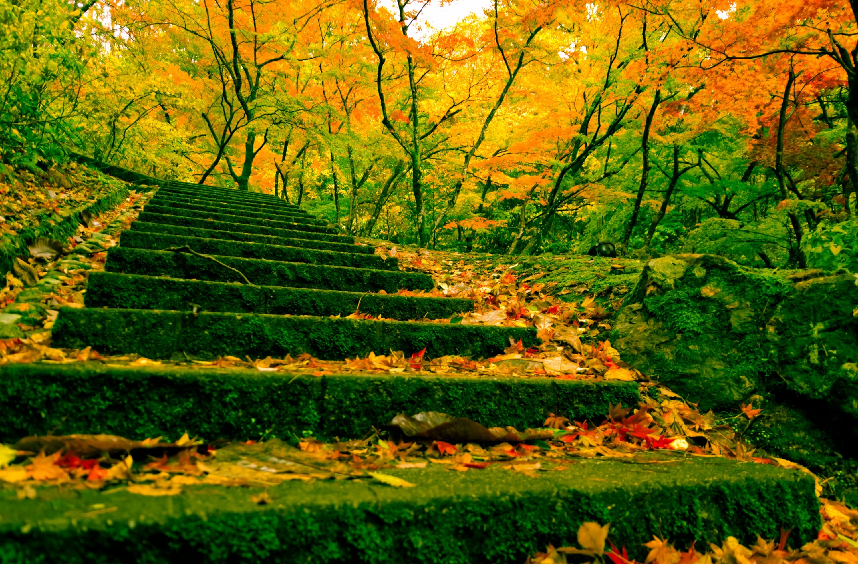 Stairs HD Wallpaper