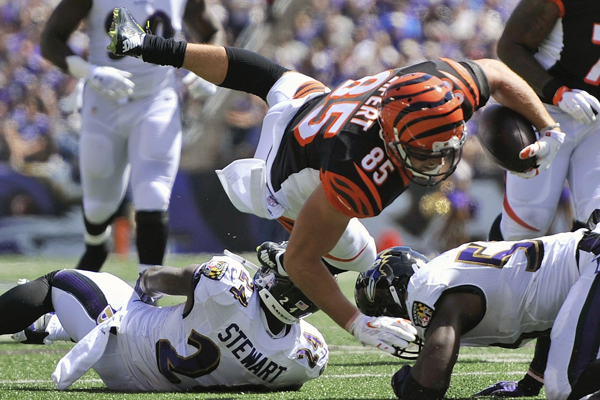 Download Baltimore Ravens Sports HD Wallpaper
