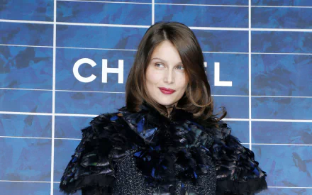 model French Celebrity Laetitia Casta HD Desktop Wallpaper | Background Image