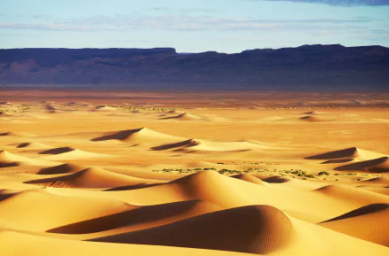 sand dune nature desert HD Desktop Wallpaper | Background Image