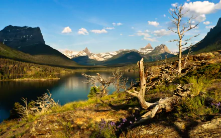 nature Saint Mary Lake HD Desktop Wallpaper | Background Image