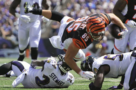 Baltimore Ravens Sports HD Desktop Wallpaper | Background Image
