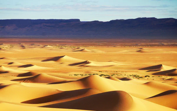 sand dune nature desert HD Desktop Wallpaper | Background Image