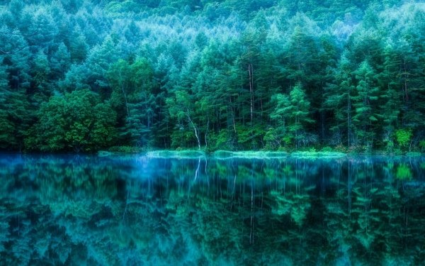 Earth Reflection Forest Japan Pond HD Wallpaper | Background Image