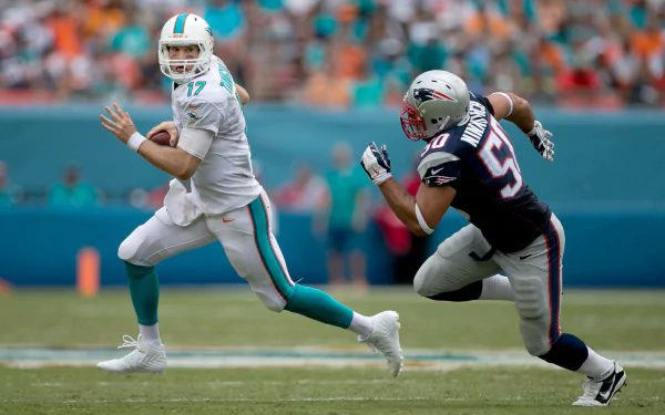 HD PC desktop wallpaper featuring Miami Dolphins quarterback evading a New England Patriots defender during a football game.