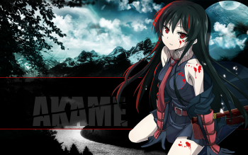 Preview Akame (Akame Ga Kill!)