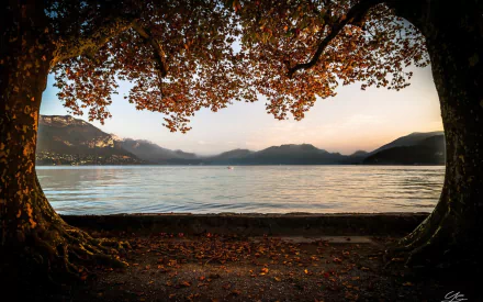 A tranquil scene in Haute-Savoie, France, showcasing Lake Annecy framed by autumn leaves and majestic mountains, capturing the beauty of nature in fall.